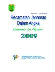 Kecamatan Jenamas Dalam Angka 2009